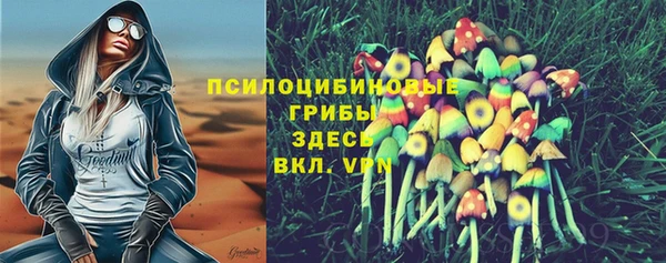 PSILOCYBIN Балахна